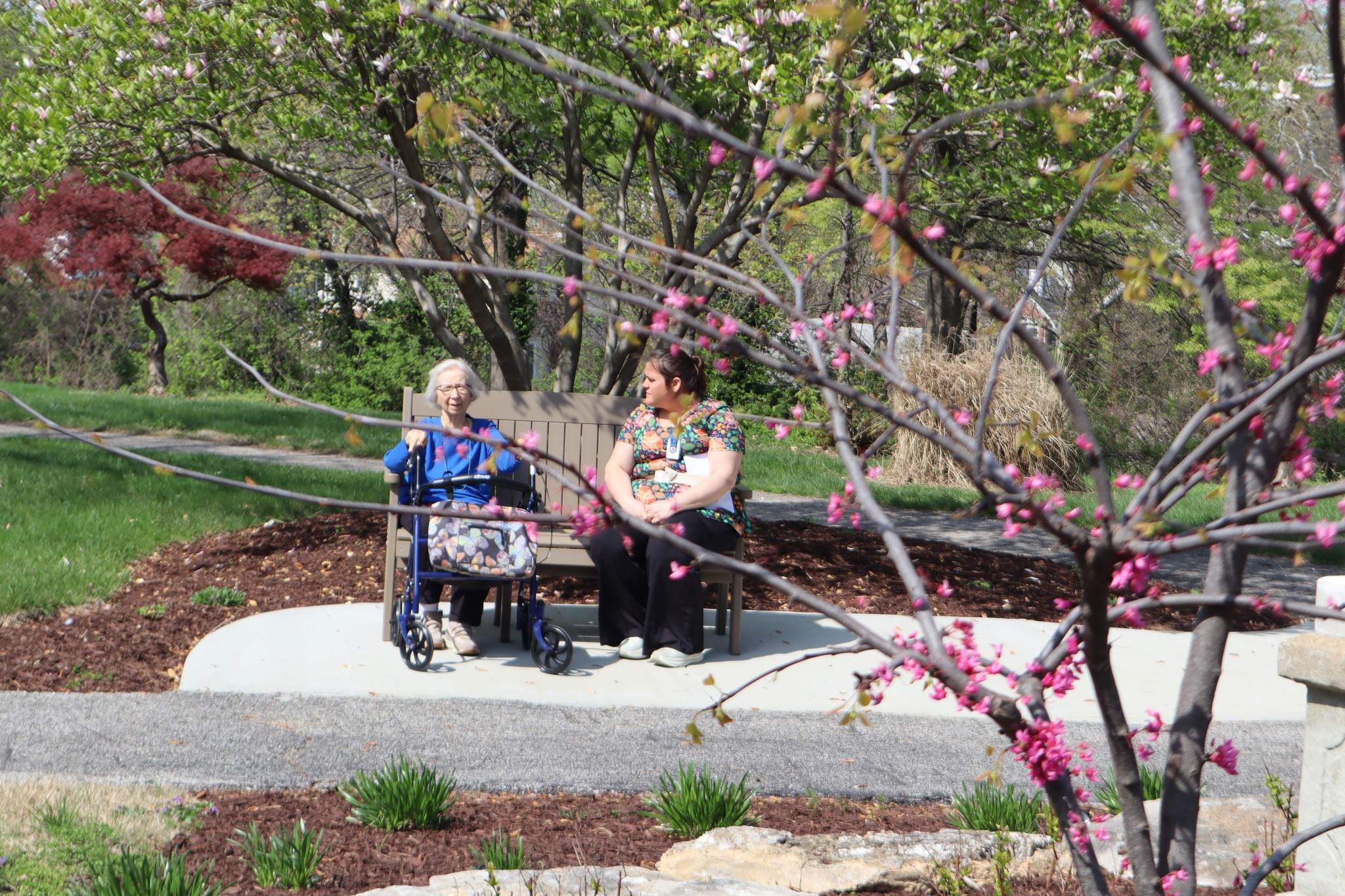 Two people sitting outside by a flowering tree